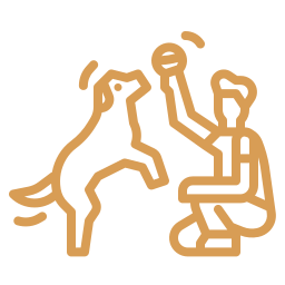 playing with puppies