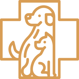 taking care of cats and dogs