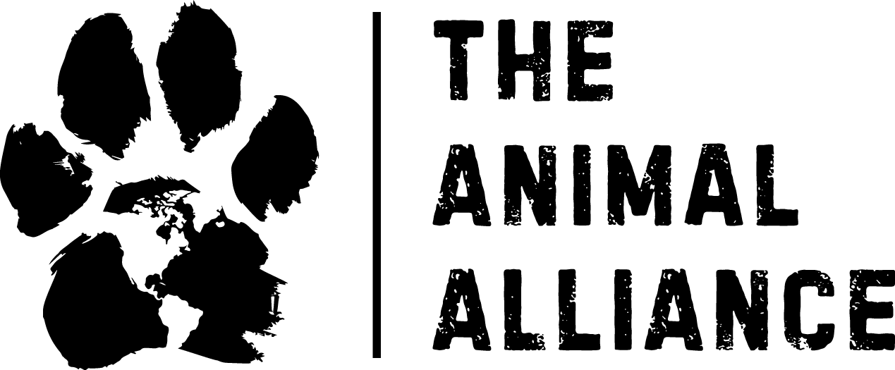 Animal Alliance Care