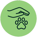 Create a sustainable network of animal welfare advocates