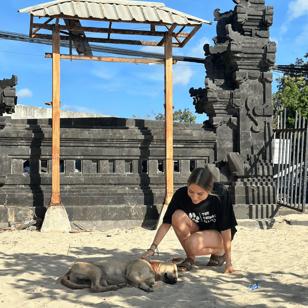 Barbara testimonial for the animal alliance