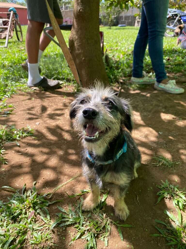 IMG-20240109-WA0030 (2)