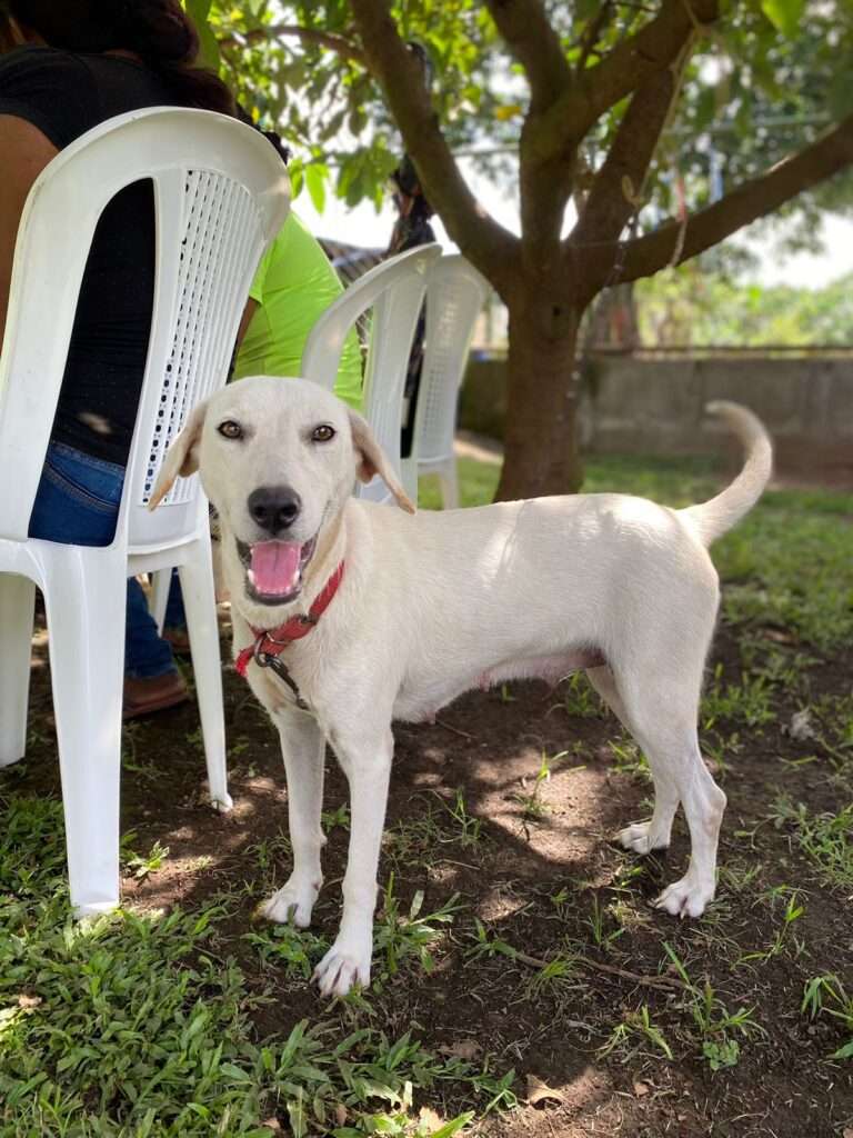 PHOTO-2023-08-16-11-25-17 (1)