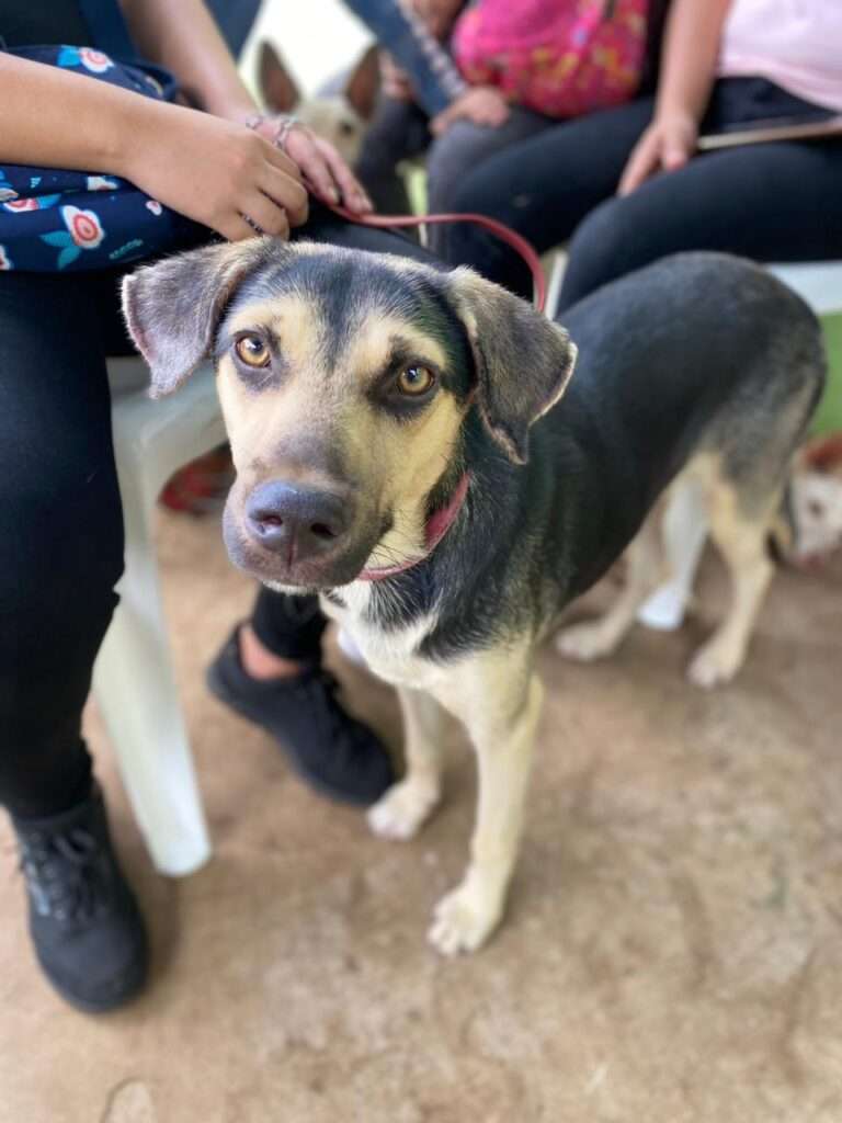 PHOTO-2023-09-06-23-24-47