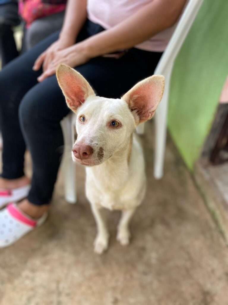 PHOTO-2023-09-06-23-24-47_2 (1)