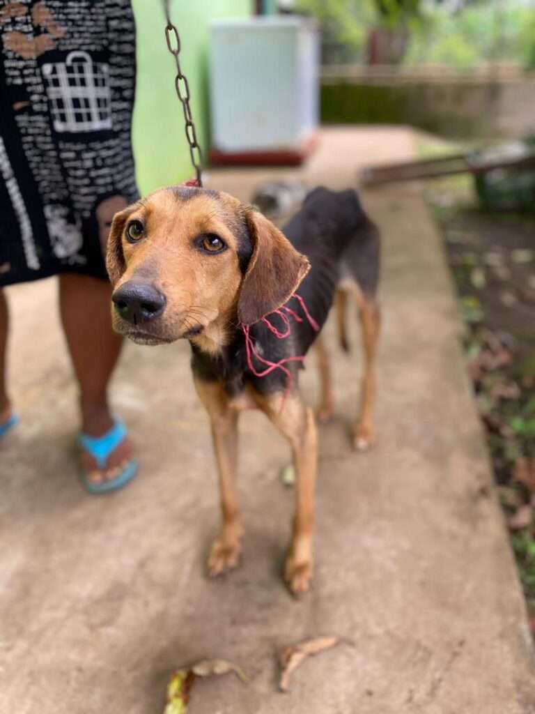 PHOTO-2023-09-06-23-24-48