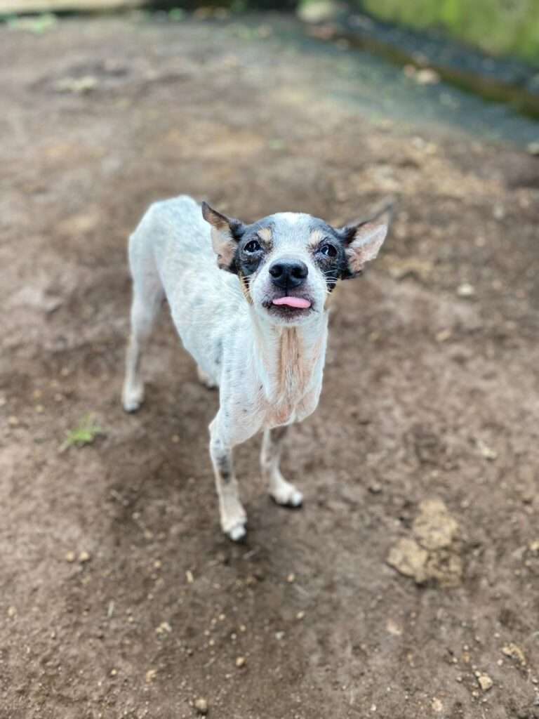 PHOTO-2023-09-06-23-24-48_2