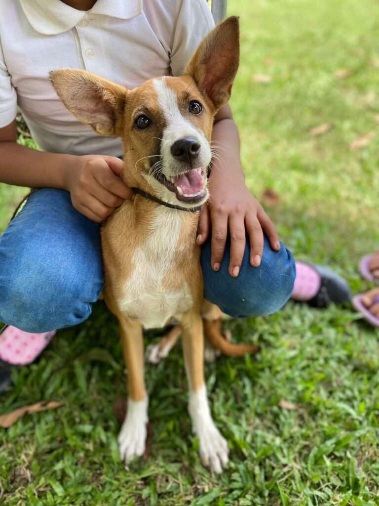 PHOTO-2023-09-06-23-24-49_1 (1)